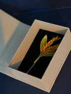 HandmadeRonghua—Harvest