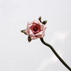 HandmadeRonghua—Pink Burnt-Edge Rose